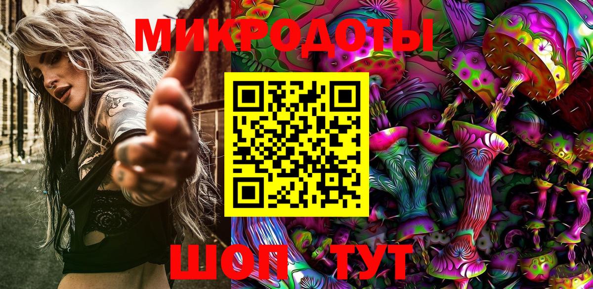где найти   Вход с VPN  Гудермес  Псилоцибиновые грибы Psilocybe 